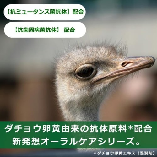 SORB'S Toothpaste Mint, 120g X 2 Bottles