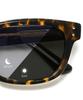 Climie ROB Photochromic Sunglasses for Biker UV Clear Wellington Adjustable Fashion Tortoiseshell Combi Free COMBI DEMIX Photochromic Lenses Men,