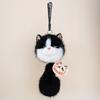 Cute Ragdoll Feline Plushie Pouch Black White Gray Brown Alongside Giant Peepers And Functional Zipper Room Cozy Snuggly