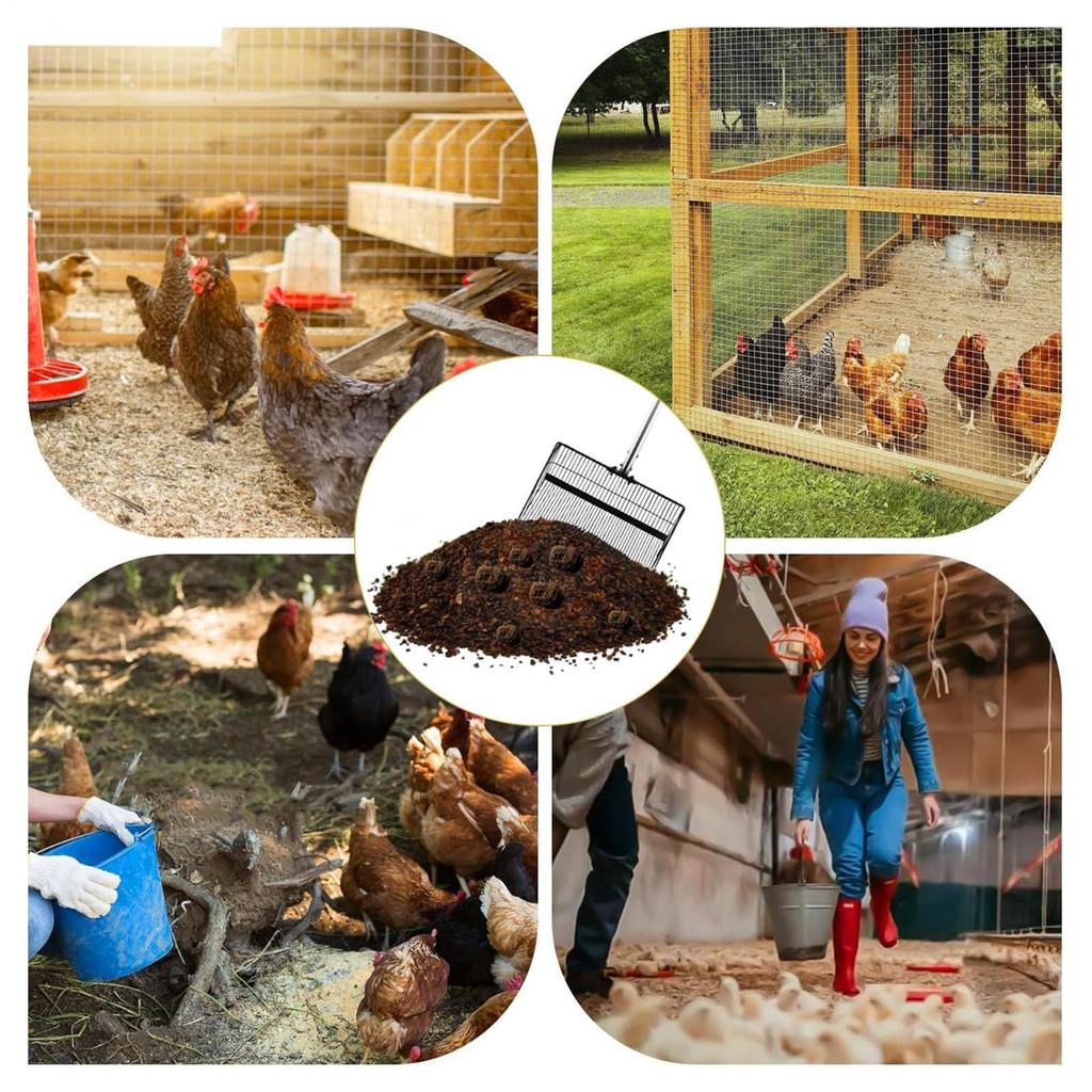 Coop Scoop Non-Stick Litter Sifter Detachable Stainless Steel Shovel Sifter for Home Outdoor Farm Cleaning Pet Kitten Waste