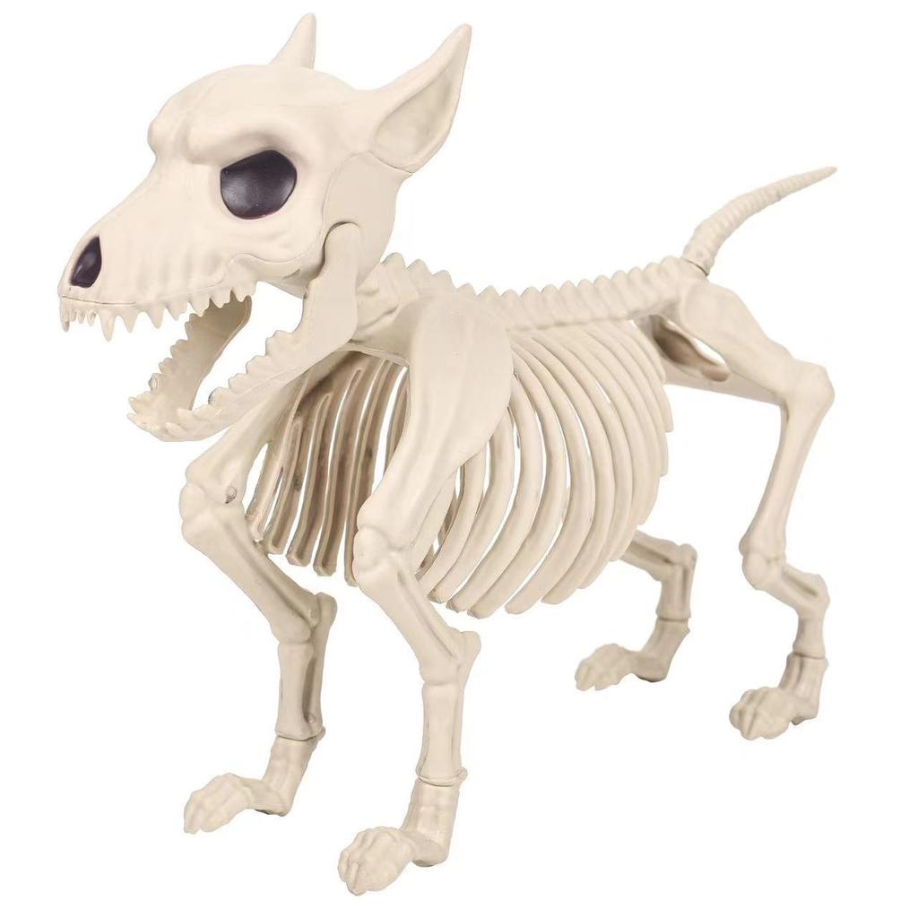 1pc Realistic Dog/Frog/Bird Skeleton Decoration - Lifelike Bone Structure with Expressive Eyes, Home Decor, Halloween Home Decor