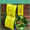 5pcs Yellow Outdoor Sticky Glue Flying Pest Insect Papers Traps Bugs Catchers