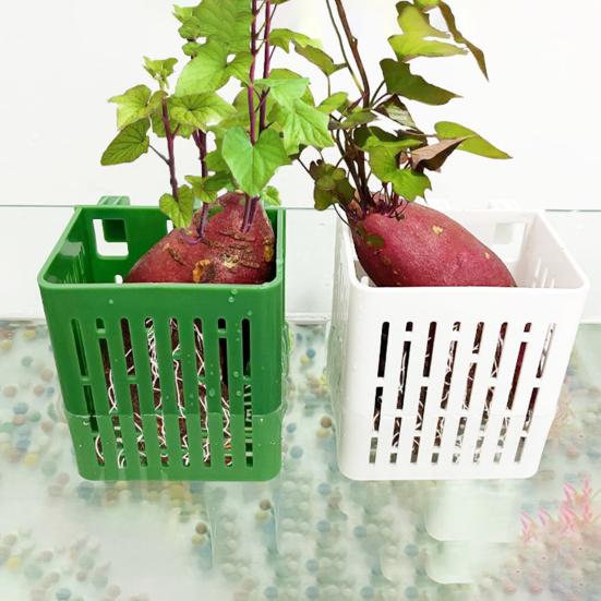 1/2/3/5/10Pcs Aquarium Plant Holder Top Hanging Fish Tank Planter Pot with Hook Platic Aquatic Plant Cup for Aquascape Decoration