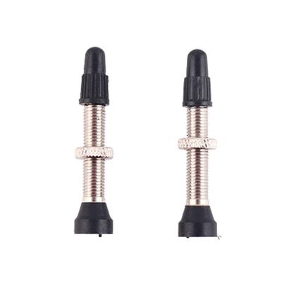Elements Tubeless Tire Valve Bicycle Tire Valves Bike Vacuum Nozzle Presta Valves Valve Cap