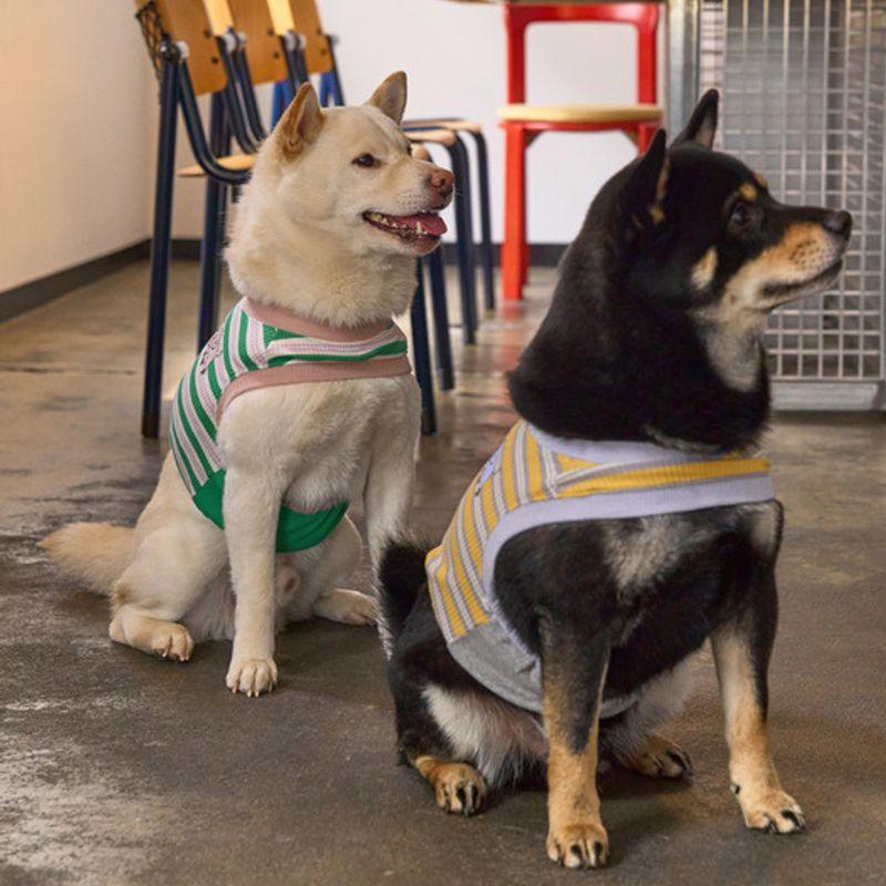 MUNIKUND Elee Einloch Crop - Grün