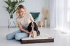 Orthopedic Dog Bed, Dog Mattress, Welsti Beige Bone M 70X50 Non-Slip