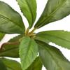 Nordic Greenery: Single Artificial Pieris Japonica Leaves for Living Room or Dining Table Decor.