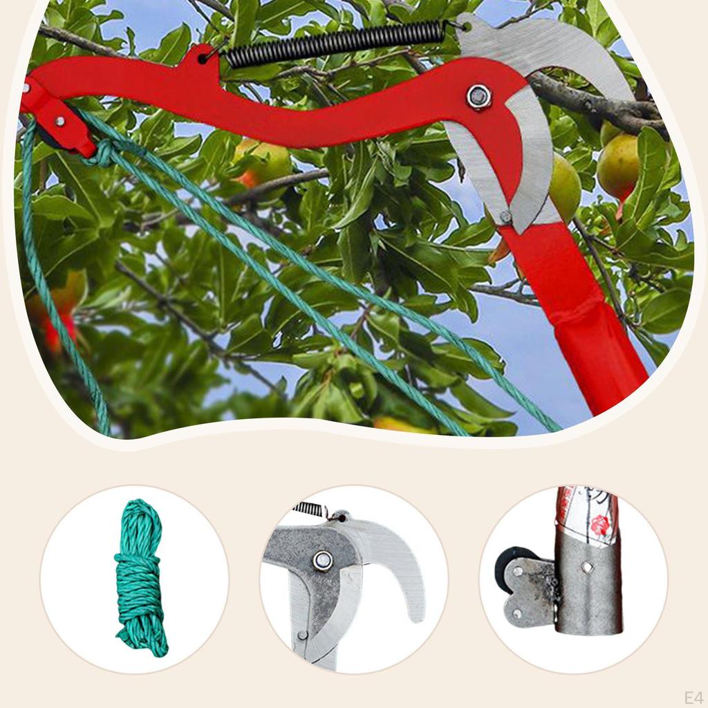 Tesoura de Poda de Alta Altitude Podador de Galhos Colhedor de Frutas Tesoura de Jardim Profissional Corda Incluída