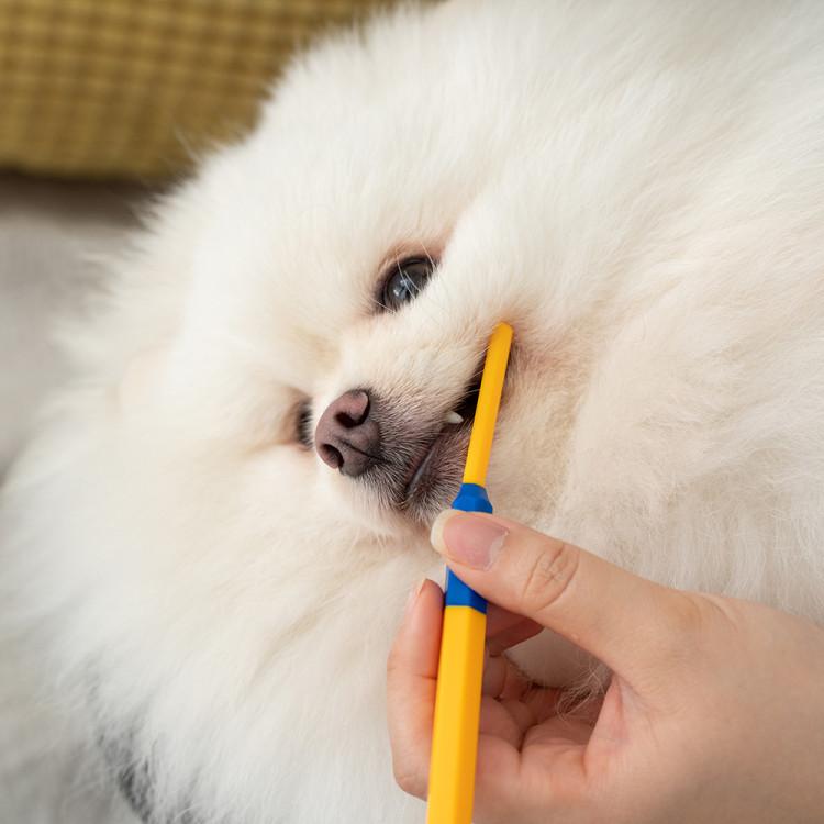 Deep Point Toothbrush (3 EA) Dog Cat Ultra-small Ultra-fine Molar Toothbrush