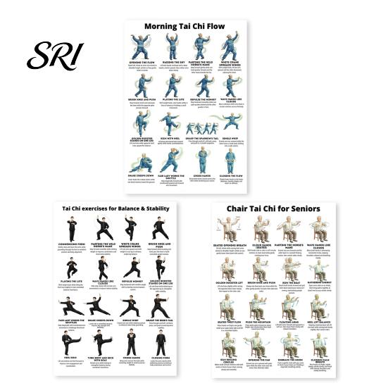 Mobility Exercises for Elderly 3Pcs Seated Tai Chi Practice Poster Seniors Balance Stability Training Core Lower Home Exercise Limb Strengthening Sets