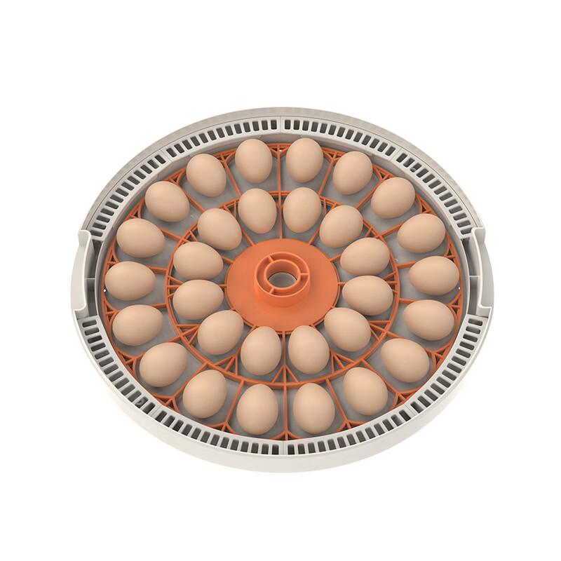 OLOEY Smart Home Incubator