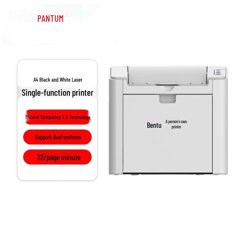 

Pantum P2516 Mono Laser Printer CN plug (adapter included)