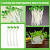 20Pcs Fun Bean Sprouts Elastic Stretch Toys Simulation Stress Relief Props Soft Squeeze Kitchen Decoration Anxiety Relief Toy