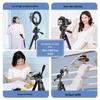 Universal Extendable Tripod with Light for Mobile Live Streaming & Online Classes