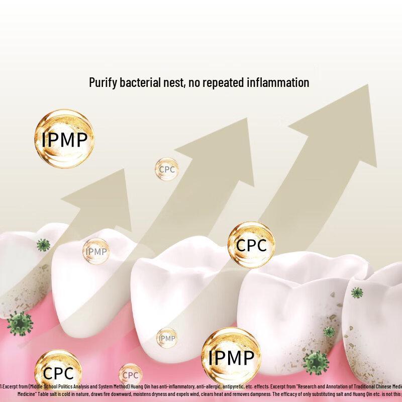 EBISU Japanese Extreme Salt Toothpaste