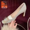 Elegant Pointed-Toe Nude High Heels for Women - 2025 Spring & Autumn Collection