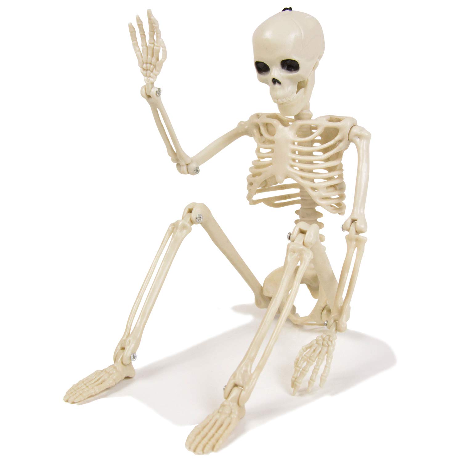 

Mode Della Casa Skeleton Figure, 36cm, Toy, Skeleton, Skull, Interior Decoration, Horror, Halloween Item (Standard Item)
