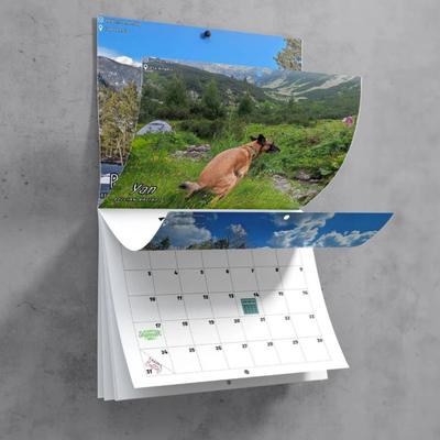 Kalender 2025, Urlaubserinnerung, Büro, Familienplaner, Tagesplaner, Organizer, einzigartiges Muster, bedruckter Monatskalender für die Wand