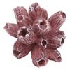 Aquarium Coral Ornament Soft and Durable Fish Tank Artificial Coral Landscaping Decoration