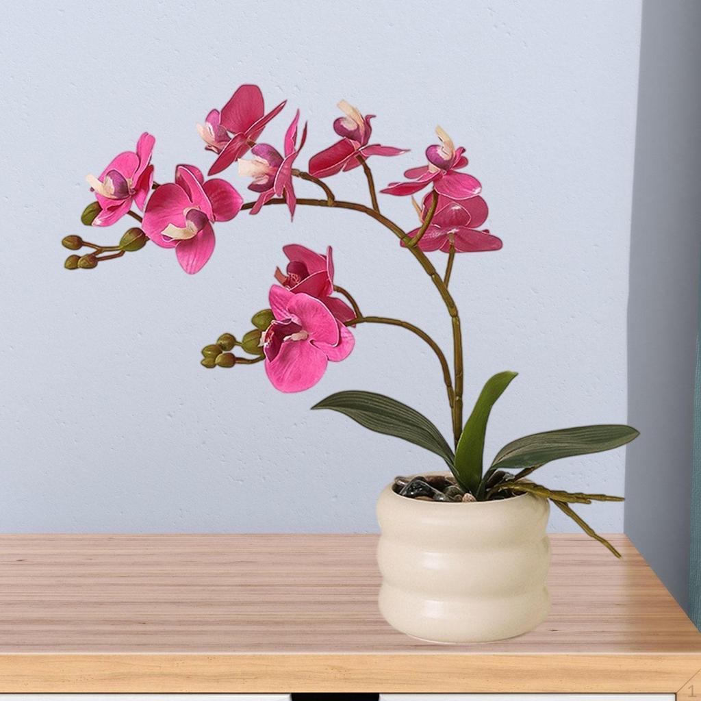 Artificial Phalaenopsis Flower Pot for Dining Table Decoration