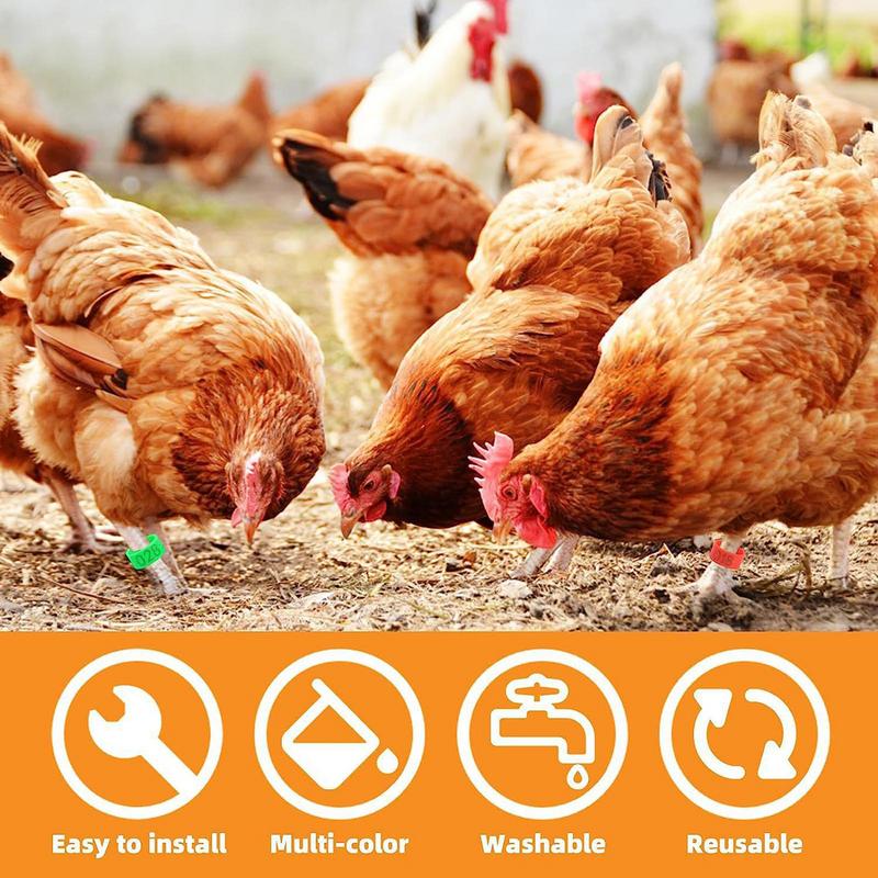 1.6cm 01~50 Chicken Foot Ring Turkeys Quail Foot Ring Easy Install & Remove Manually Poultry Carry Foot Ring 50/100 Pcs