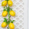 Room Artificial Lemon Modle 2 Strings 52CM Garden Decor Home Ornaments PU