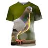 Wild Pigeon 3D Print Summer Men's O-Neck T-shirt Casual Short Sleeve Oversized Pullover Fashion Streetwear Tee Tops Men Clothing