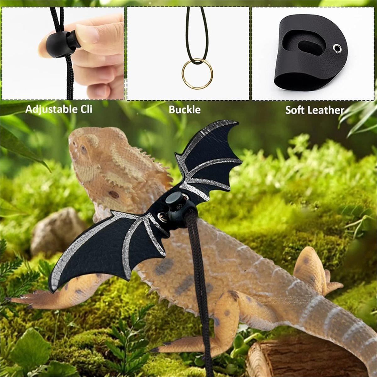 

Bearded Dragon Leash and Harness Set, Bearded Dragon Accessories, Bearded Dragon Decor Suit for Outdoor Travel-Black China Mainland