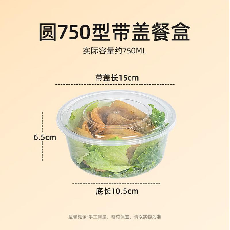 Temaiju TMJ-925 750ml Plastic Lunch Box