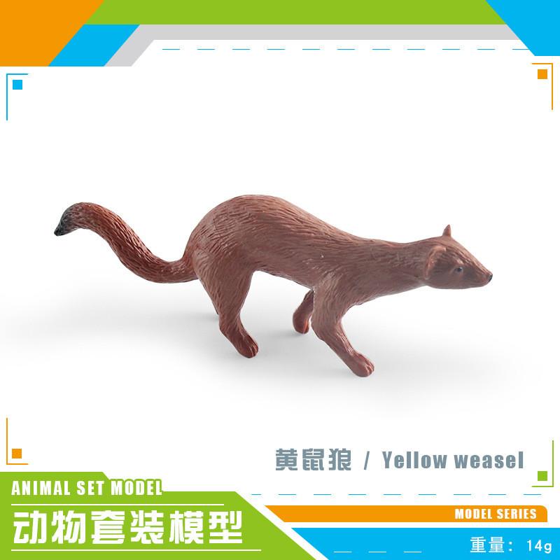 Realistic Plastic Forest Animal Model Collection Featuring Cute Static Mice Frogs Crocodiles Koalas And Skunks