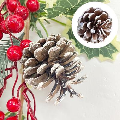 10 Stück natürliche Tannenzapfen-Dekorationen, umweltfreundliche Weihnachtsfeiern, Hochzeiten, Tannenzapfen für Heimwerkerarbeiten
