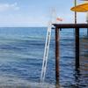 Scaletta per Pontile in Alluminio Scaletta Ribaltabile per Pontile Barca 5 Gradini con Carico 350lbs