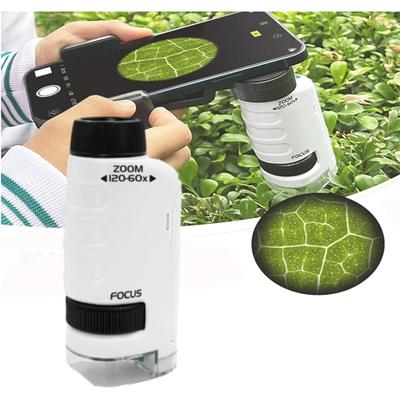 Çocuklar Taşınabilir Mikroskop Biyolojik Eğitici Oyuncaklar Çocuklar için Ev Okul Bilim Kiti LED Işık 60X-120X KÖK Hediye Büyüteç