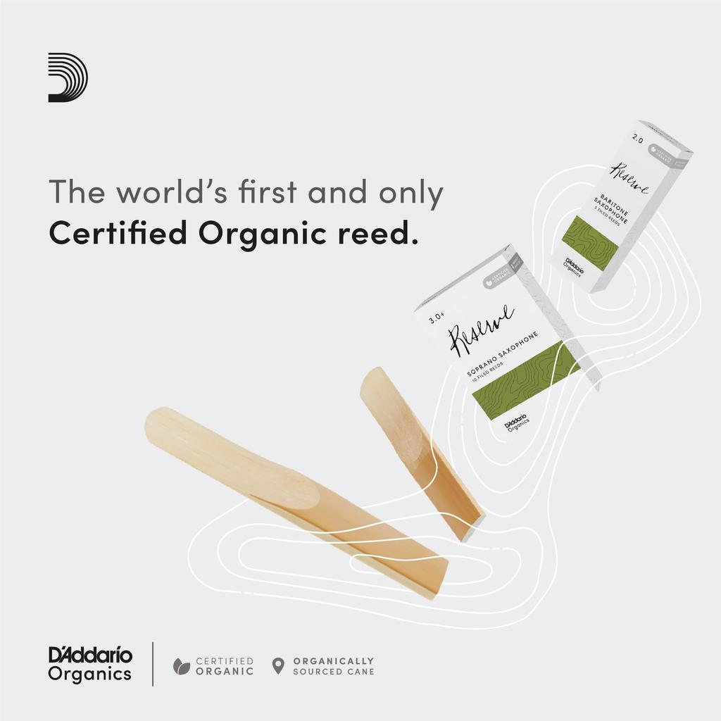 WoodWinds Blätter für Alt USDA Organic RESERVE ODJR0330 Packung mit 3 D'Addario D'Addario Saxophon, Zertifiziert, [Härte 3.0],