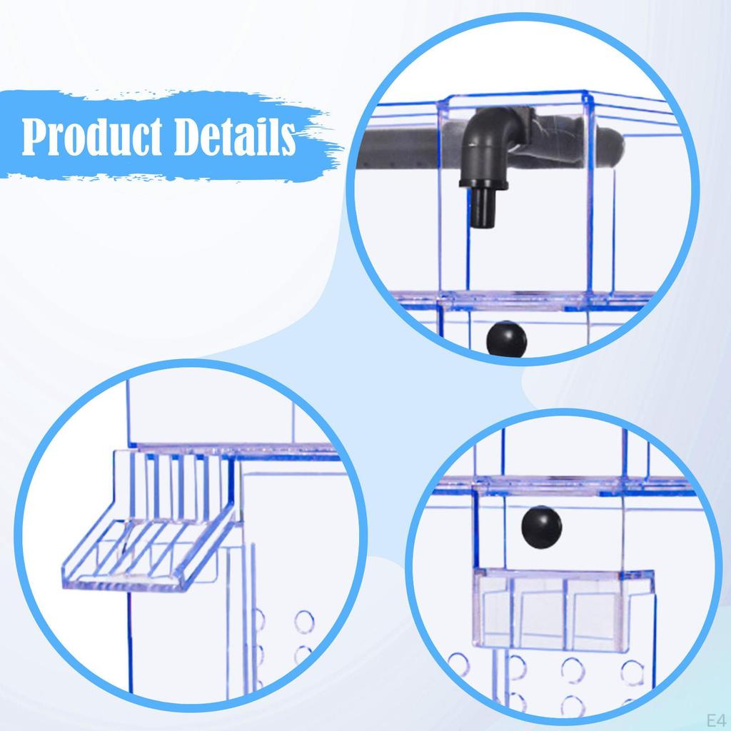 Aquarium Box Accessory Tank Double Filtration Wet/Dry Separation Quiet Suitable for