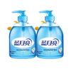 Blue Moon Wild Chrysanthemum Refreshing Hand Soap