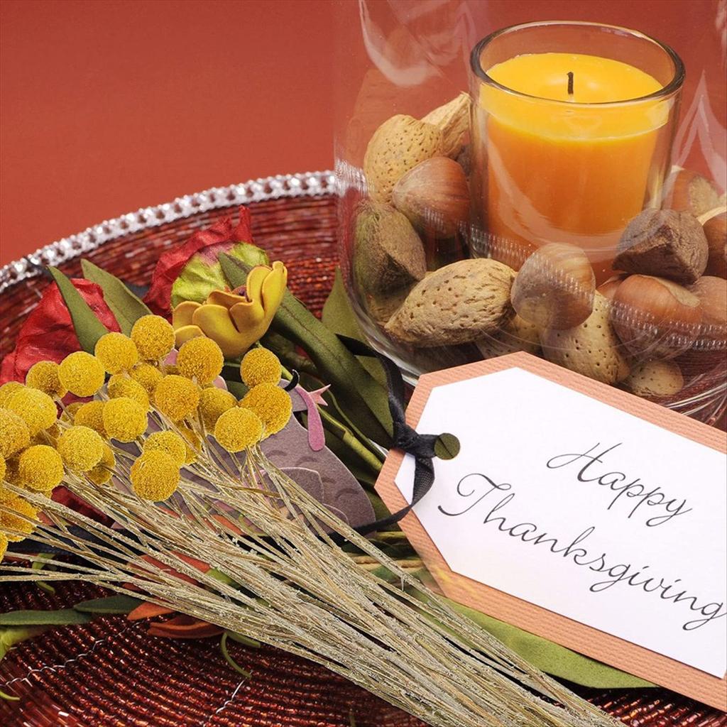 BHBL 48 Pcs Dried Flowers Dried BillyBalls Dried Craspedia Flowers Button Yellow Dried Flowers Fake Silk Dried Flower