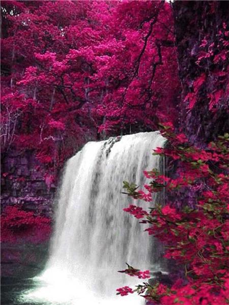 Diamond Painting Lavender Scenery Home Decor Mosaic Embroidery Sunset Landscape Rhinestone Pictures Diamond Art