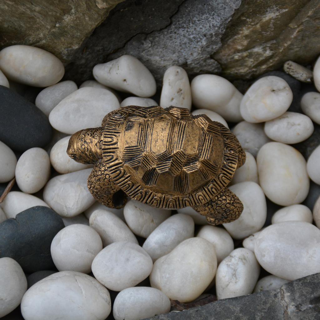1 Piece of Retro Bronze Turtle Statue Small Ornaments Gardening Flower Pot Edge Decoration Garden Desktop Micro Landscape Creative Layout Realistic