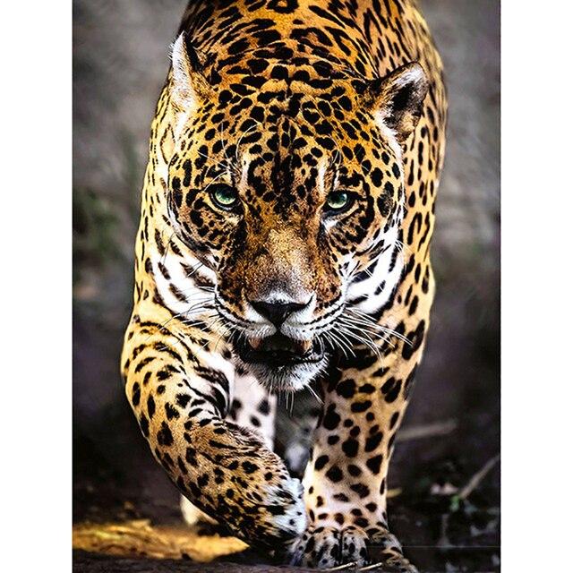 

DIY 5D Алмазна картина Тварина Тигр і Леопард Вишивка хрестиком Алмазна Вишивка Мозаїка Ремесло Прикраса дому Художній подарунок ручної роботи Full Round 40x50CM