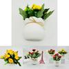 Camellia Sp Green Plant Indoor Decor With Plastic And Silk For Home And Wedding Use
