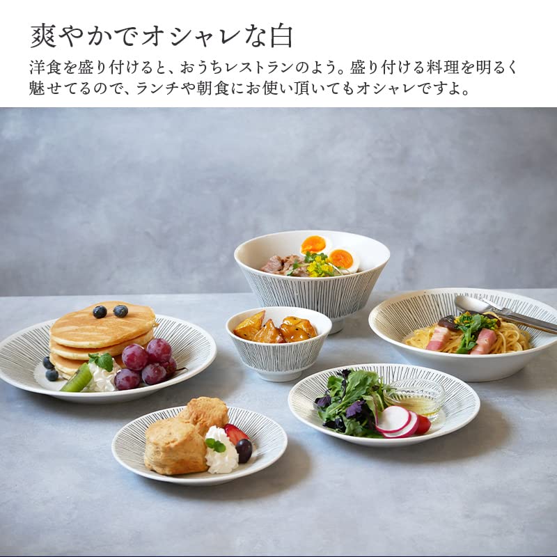EAST table Pastacurryteller 21cm Randdraht Weiß Hergestellt in Japan Großer Teller Tiefer Teller Spülmaschinenfest Mikrowellengeeignet 111-004-01