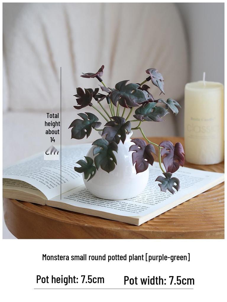 Miniature Succulent Bonsai Desk Ornament: Green Plant Props for Home or Office Decor