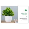 Künstliche Grüne Pflanzen Bonsai Tisch Topfpflanzen Ornamente Simulation Topfpflanzen Kunstblumen für Hotel Büro Zuhause Gartendekor