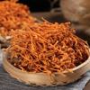 Organiczny Grzyb Maczułek Chiński 80g Naturalna Energia Herbata Ziołowa