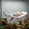 Leaf Shape Lizard Habitat Leaf Simulated Leaves Suction Cups Resting Terrace Plastic Naturalistic Climbing Rest