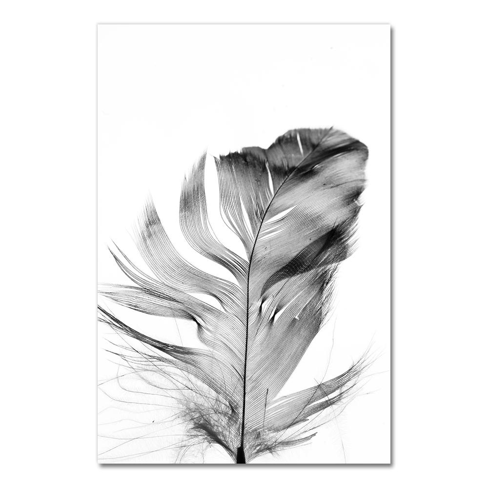 Posters Black And White Flower Print Fresh Wall Art Feather Dandelion Pictures Canvas Living Room Decoration Wall Paintings