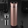 Lainuo Smart Insulated Tea Infuser Bottle