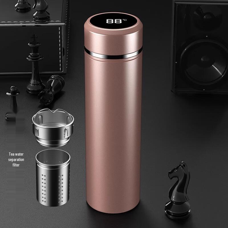 Lainuo Smart Insulated Tea Infuser Bottle