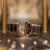 RADO Radar Kristal Serisi Otomatik Mekanik Mekanizma İskelet Elmas Mekanik Kadın Saati İsviçre Saati Kahverengi Kadran R30029942